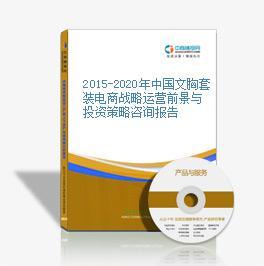 2016-2020年中国文胸套装电商战略运营前景与投资策略咨询